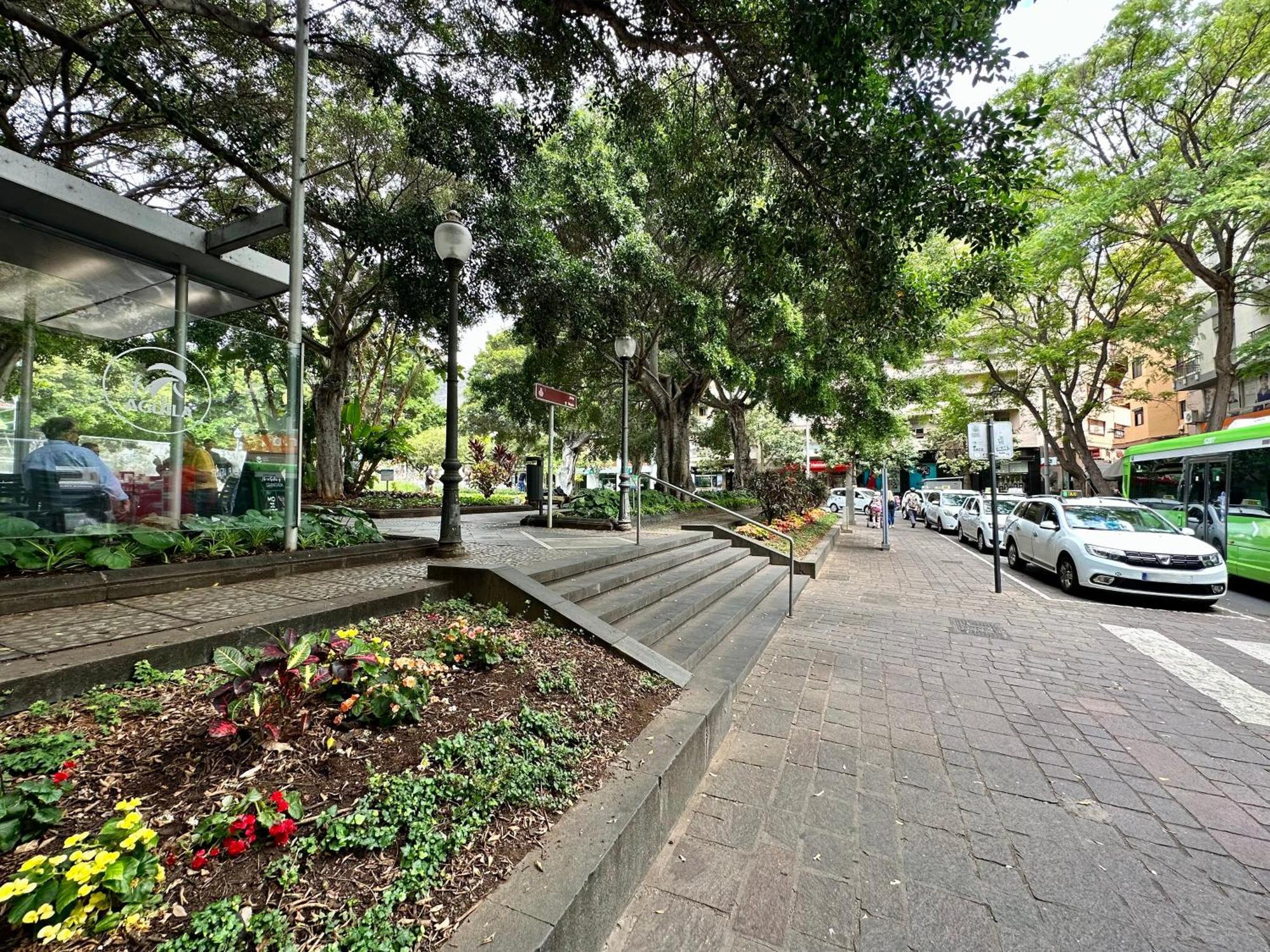 Sabino Street Apartment Santa Cruz de Tenerife Eksteriør billede